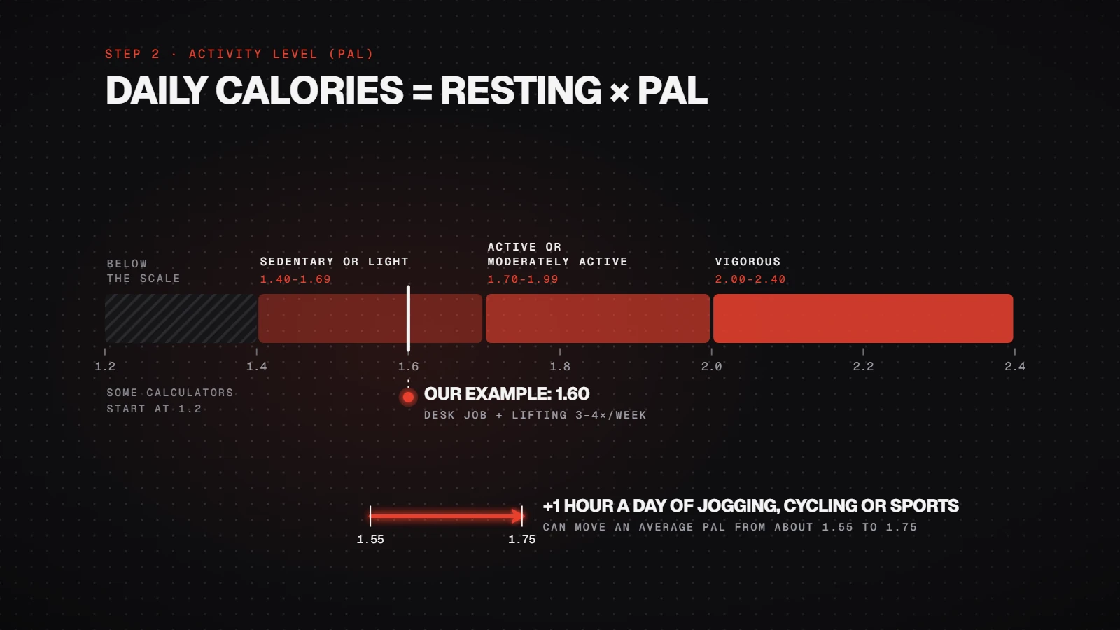 Activity level (PAL) bands: sedentary or light 1.40-1.69, active 1.70-1.99, vigorous 2.00-2.40; the example is at 1.60